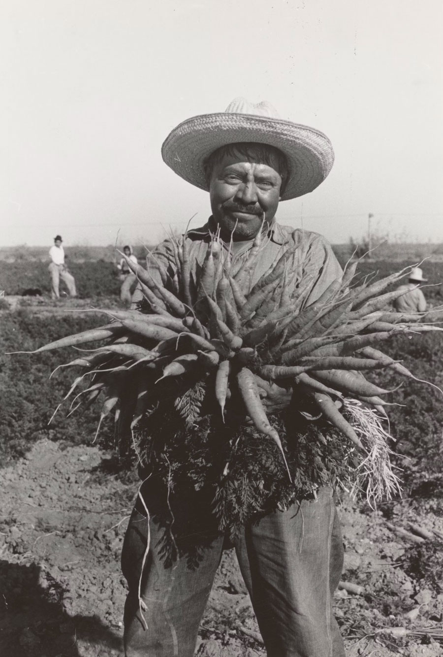 Image depicting Latino workers in agriculture in California