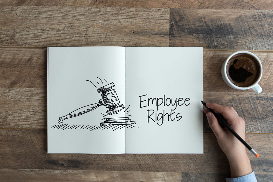 Employment Lawyer drawn in notebook